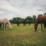 Gaja Horses, Nature Spa, Sea&lake * Sarbsk