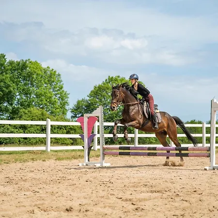 Gaja Horses, Nature Spa, Sea&lake *