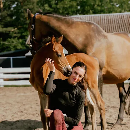 Gaja Horses, Nature Spa, Sea&lake *