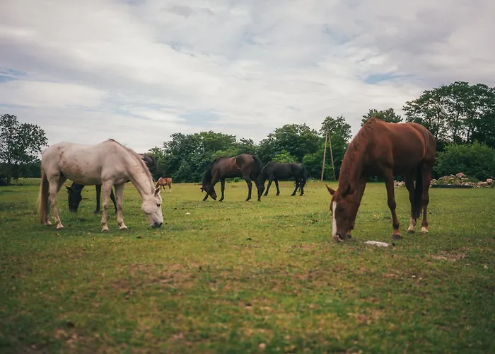Gaja Horses, Nature Spa, Sea&lake * Sarbsk