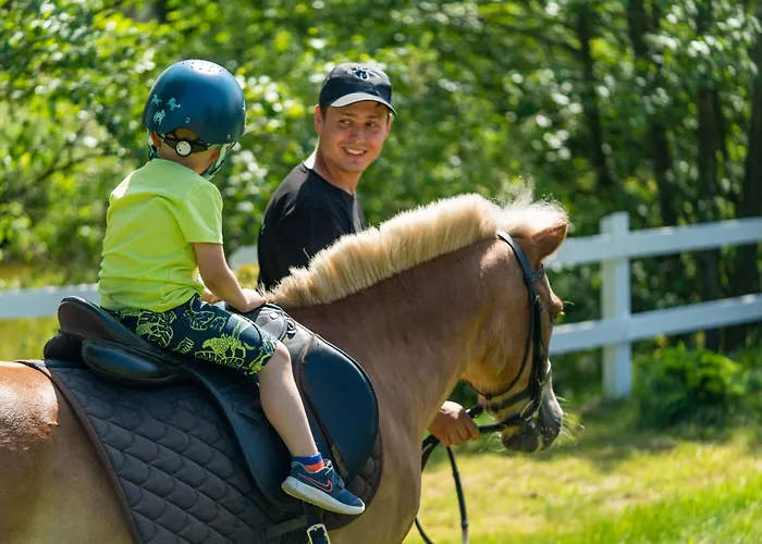 Gaja Horses, Nature Spa, Sea&lake Daire Sarbsk
