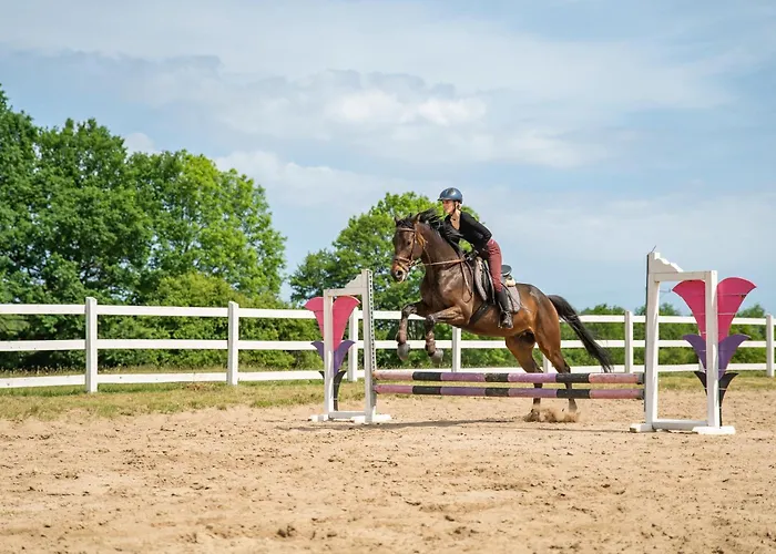 Gaja Horses, Nature Spa, Sea&lake *