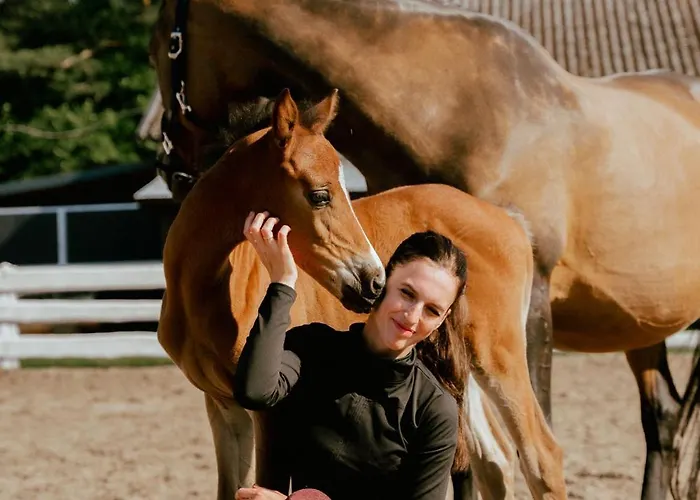 Gaja Horses, Nature Spa, Sea&lake *